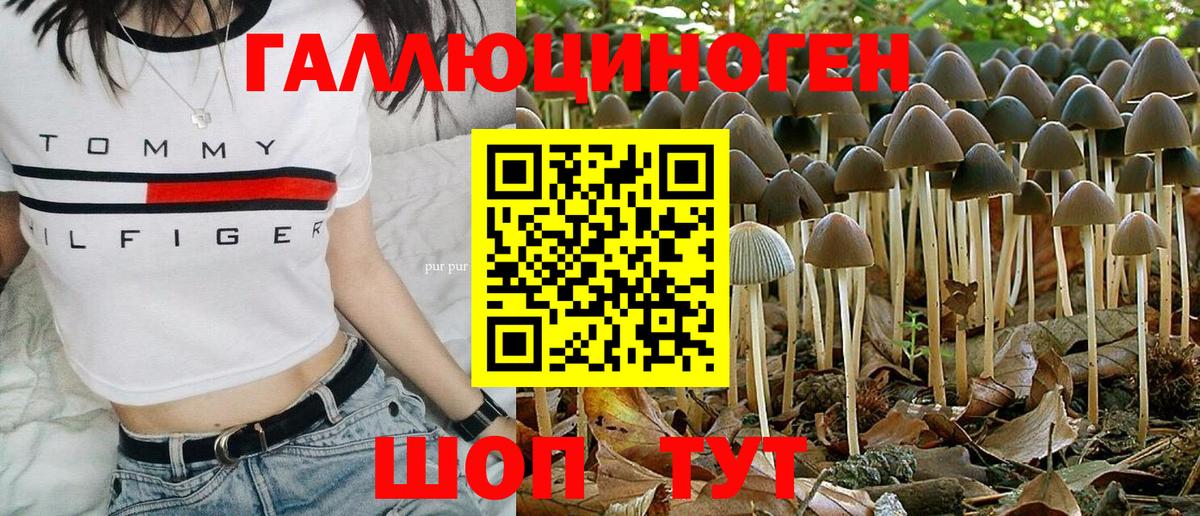 Псилоцибиновые грибы мухоморы Артёмовский